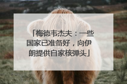梅德韦杰夫：一些国家已准备好，向伊朗提供自家核弹头