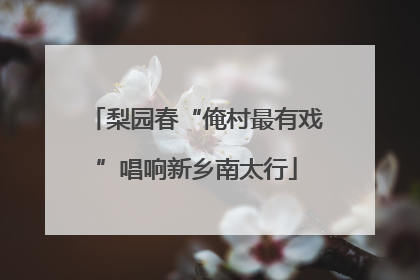 梨园春“俺村最有戏”唱响新乡南太行