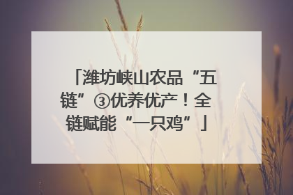 潍坊峡山农品“五链”③优养优产！全链赋能“一只鸡”