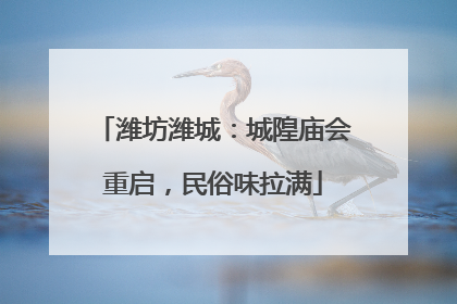 潍坊潍城：城隍庙会重启，民俗味拉满