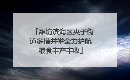 潍坊滨海区央子街道多措并举全力护航粮食丰产丰收