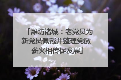潍坊诸城：老党员为新党员佩戴并整理党徽 薪火相传促发展