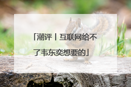 潮评丨互联网给不了韦东奕想要的