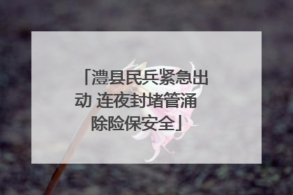 澧县民兵紧急出动 连夜封堵管涌除险保安全
