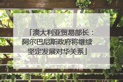 澳大利亚贸易部长：阿尔巴尼斯政府将继续坚定发展对华关系