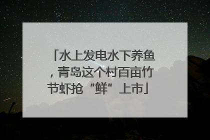 水上发电水下养鱼，青岛这个村百亩竹节虾抢“鲜”上市