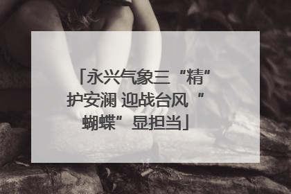 永兴气象三“精”护安澜 迎战台风“蝴蝶”显担当