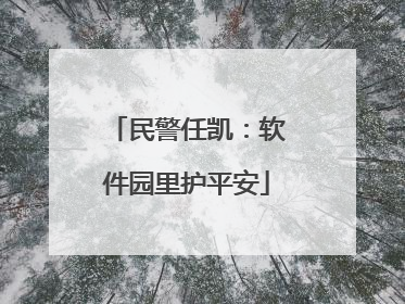 民警任凯：软件园里护平安