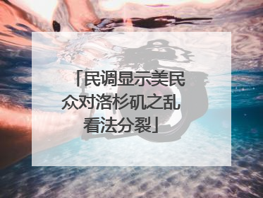 民调显示美民众对洛杉矶之乱看法分裂