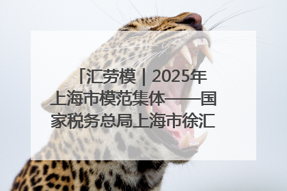 汇劳模｜2025年上海市模范集体——国家税务总局上海市徐汇区税务局第一税务所