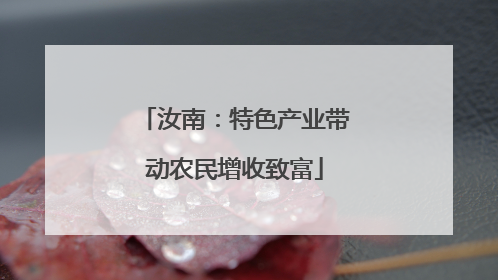 汝南：特色产业带动农民增收致富