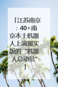 江苏南京：40+南京本土机器人上演现实版的“机器人总动员”