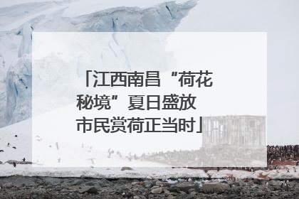 江西南昌“荷花秘境”夏日盛放 市民赏荷正当时