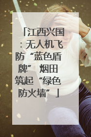 江西兴国：无人机飞防“蓝色盾牌” 烟田筑起“绿色防火墙”