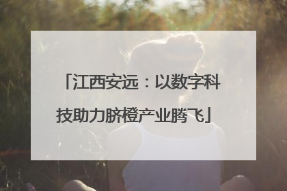 江西安远：以数字科技助力脐橙产业腾飞