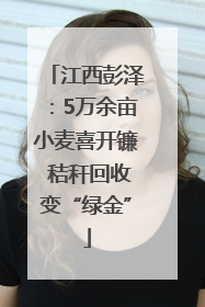 江西彭泽：5万余亩小麦喜开镰 秸秆回收变“绿金”