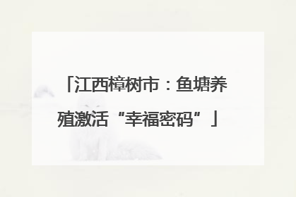 江西樟树市：鱼塘养殖激活“幸福密码”