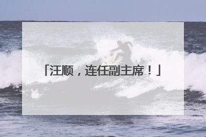 汪顺，连任副主席！