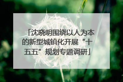 沈晓明围绕以人为本的新型城镇化开展“十五五”规划专题调研