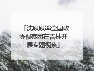 沈跃跃率全国政协视察团在吉林开展专题视察