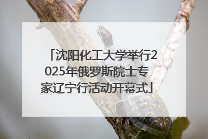 沈阳化工大学举行2025年俄罗斯院士专家辽宁行活动开幕式