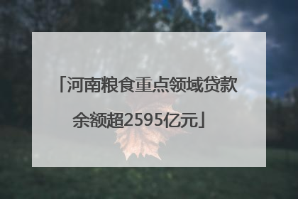 河南粮食重点领域贷款余额超2595亿元