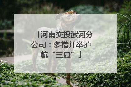 河南交投漯河分公司：多措并举护航“三夏”