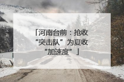 河南台前：抢收“突击队”为夏收“加速度”