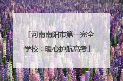 河南南阳市第一完全学校：暖心护航高考