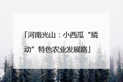 河南光山：小西瓜“撬动”特色农业发展路