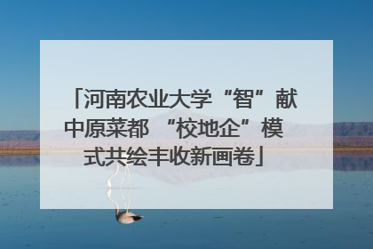 河南农业大学“智”献中原菜都 “校地企”模式共绘丰收新画卷