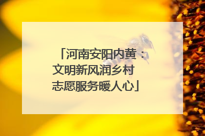 河南安阳内黄：文明新风润乡村 志愿服务暖人心