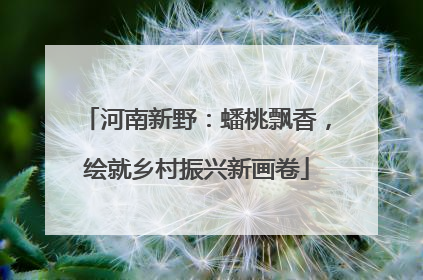 河南新野：蟠桃飘香，绘就乡村振兴新画卷
