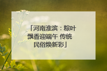河南淮滨：粽叶飘香迎端午 传统民俗焕新彩