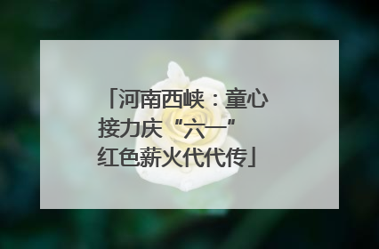 河南西峡：童心接力庆“六一” 红色薪火代代传