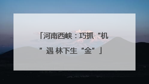 河南西峡：巧抓“机”遇 林下生“金”