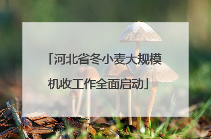 河北省冬小麦大规模机收工作全面启动