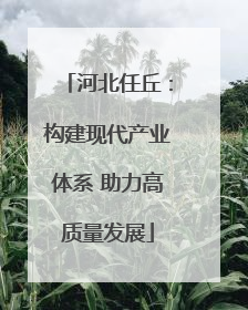 河北任丘：构建现代产业体系 助力高质量发展