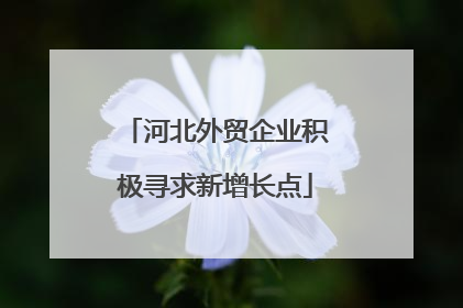 河北外贸企业积极寻求新增长点