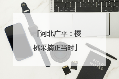 河北广平：樱桃采摘正当时