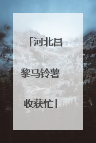 河北昌黎马铃薯收获忙