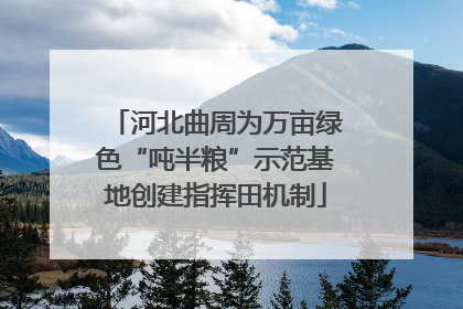 河北曲周为万亩绿色“吨半粮”示范基地创建指挥田机制
