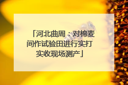 河北曲周：对棉麦间作试验田进行实打实收现场测产