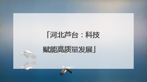 河北芦台：科技赋能高质量发展