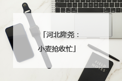 河北隆尧：小麦抢收忙
