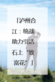 泸州合江：统战助力引活石上“致富花”
