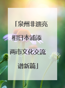 泉州非遗亮相日本浦添 两市文化交流谱新篇