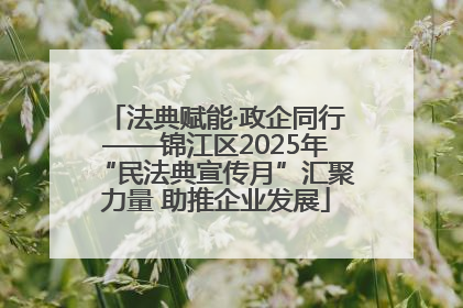 法典赋能·政企同行——锦江区2025年“民法典宣传月”汇聚力量 助推企业发展