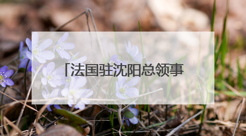 法国驻沈阳总领事罗毅睿：红山文化是中国的瑰宝，也是世界文化遗产