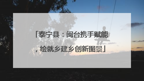 泰宁县：闽台携手赋能，绘就乡建乡创新图景